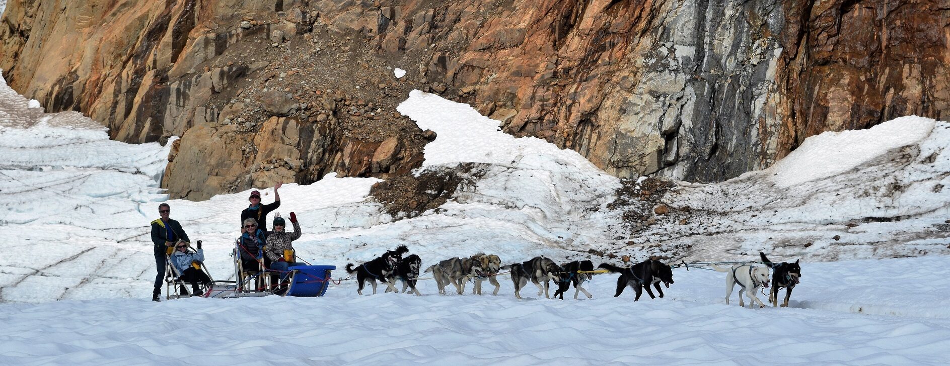 A man is pulling a sled with dogs in the snow.