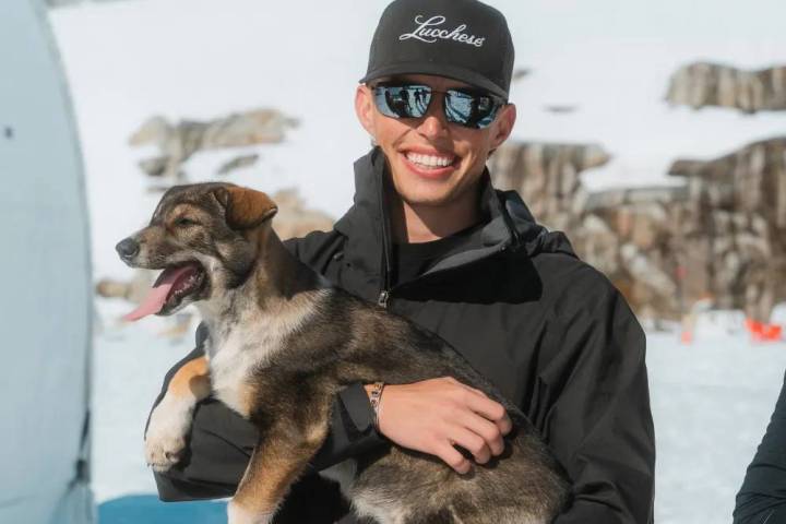 Person in sunglasses holding a happy puppy in snowy mountains.