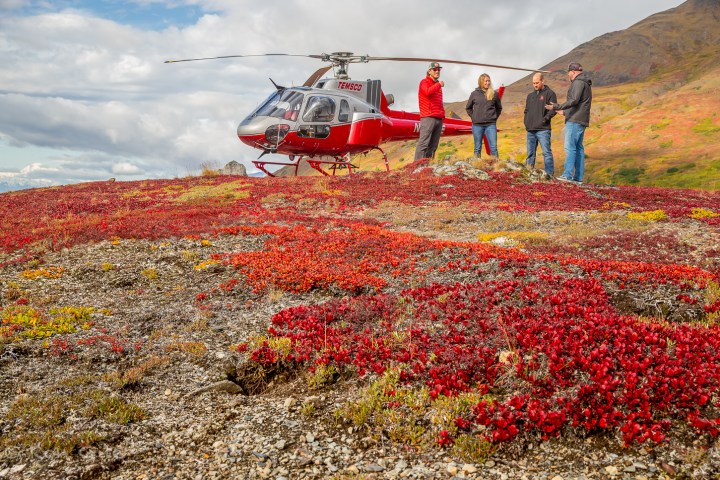 Red helicopter and four people on hill with red ground cover plants under cloudy sky.