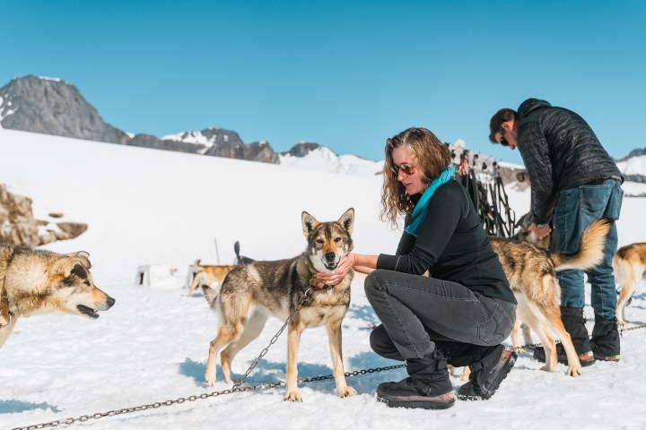 Person kneels to pet a sled dog on snowy terrain with mountains in the background. Other dogs and people are nearby.