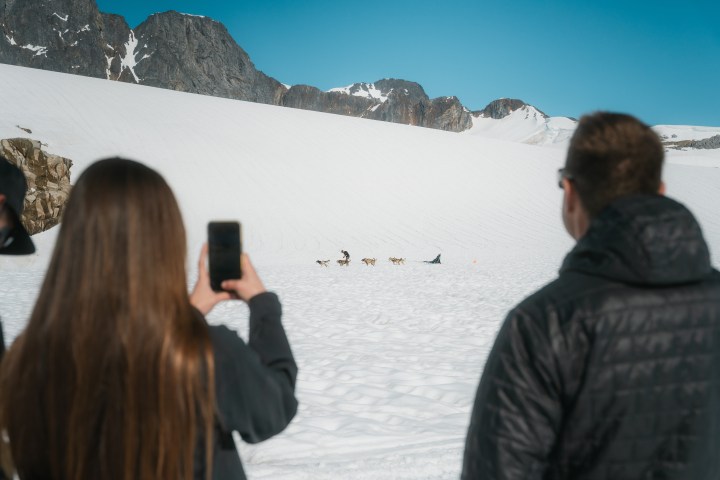 Two people watching a dog sled team on a snowy mountain.