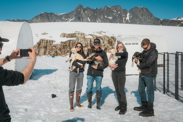 People holding puppies pose for a photo on snowy terrain with mountains and tents in the background.
