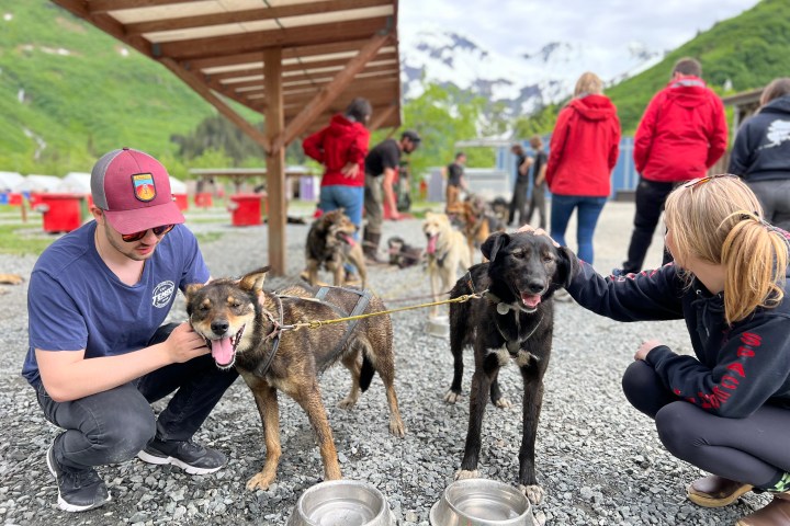 People petting sled dogs outside under a wooden structure with mountains in the background.