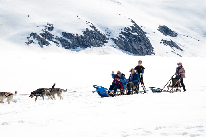 Group dog sledding on snowy terrain with mountains in the background.