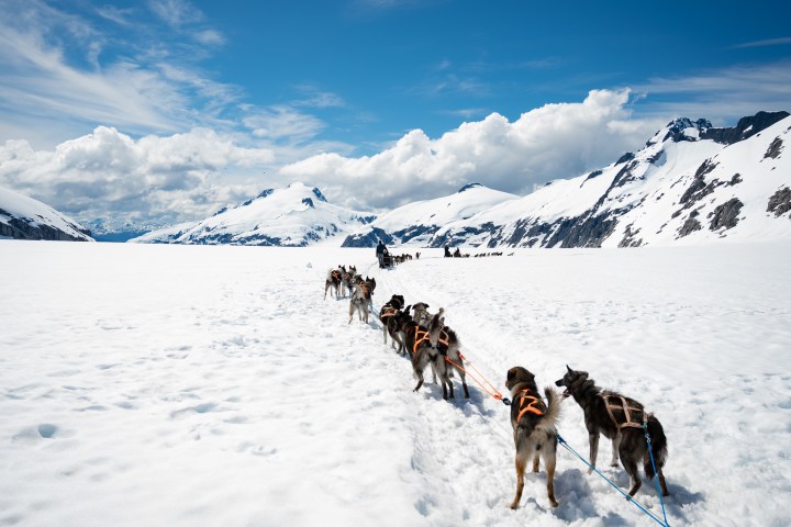 Snowy mountain landscape with a dog sled team traveling across the snow under a bright blue sky.