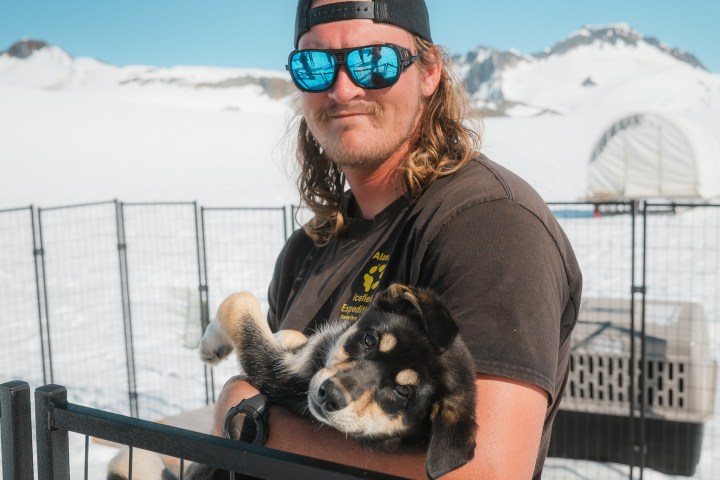 Person in sunglasses holds a puppy in a snowy outdoor setting.